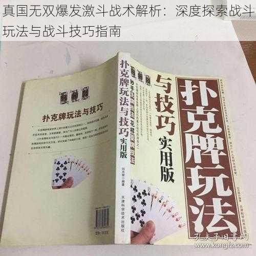 真国无双爆发激斗战术解析：深度探索战斗玩法与战斗技巧指南