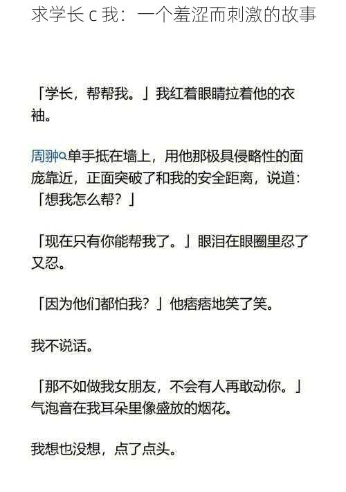 求学长 c 我：一个羞涩而刺激的故事