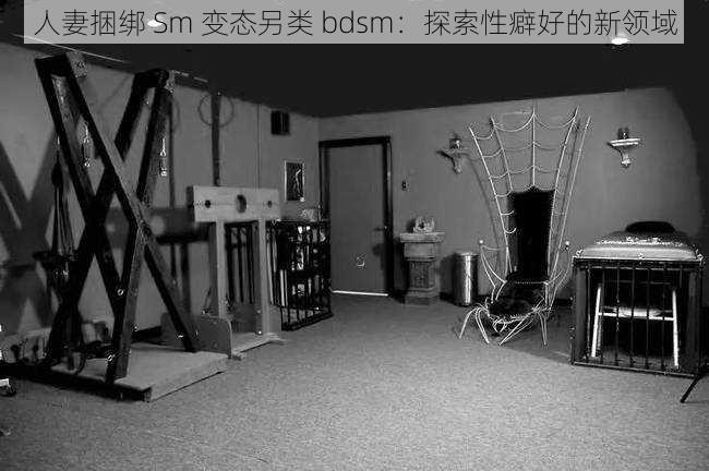 人妻捆绑 Sm 变态另类 bdsm：探索性癖好的新领域