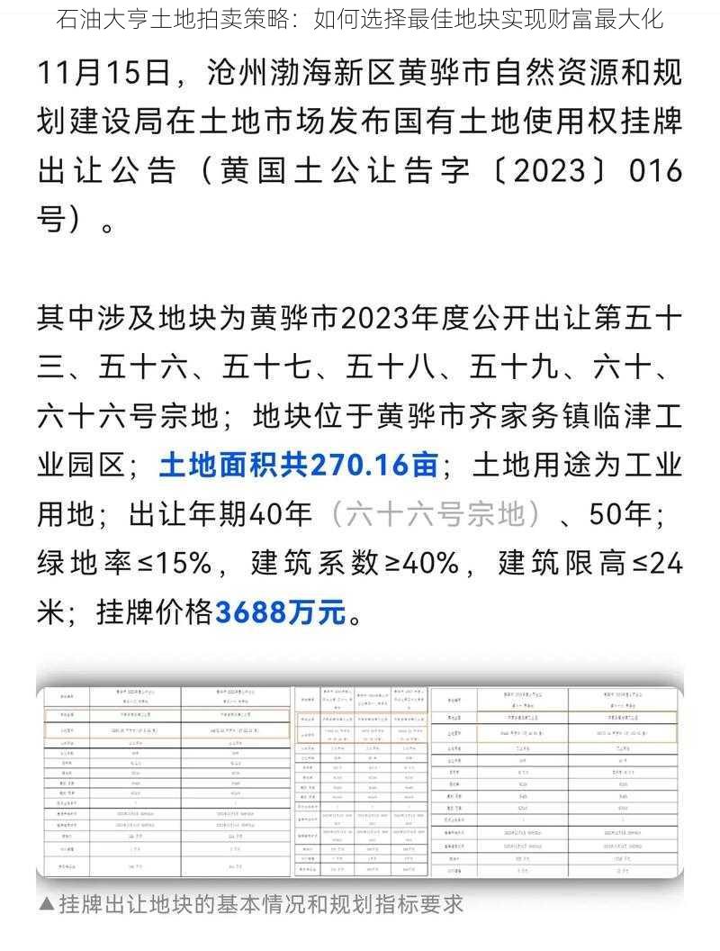 石油大亨土地拍卖策略：如何选择最佳地块实现财富最大化