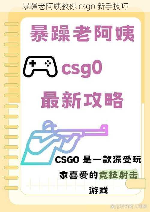 暴躁老阿姨教你 csgo 新手技巧