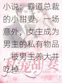 小说：霸道总裁的小甜妻，一场意外，女主成为男主的私有物品，被男主养大并吃掉