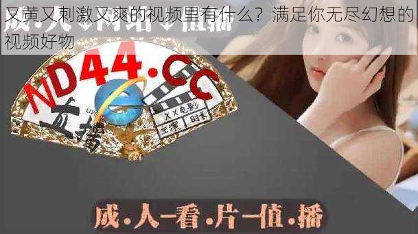 又黄又刺激又爽的视频里有什么？满足你无尽幻想的视频好物