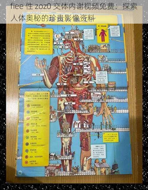 fiee 性 zoz0 交体内谢视频免费：探索人体奥秘的珍贵影像资料