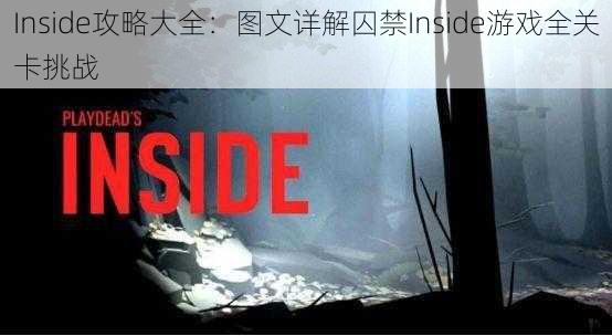 Inside攻略大全：图文详解囚禁Inside游戏全关卡挑战