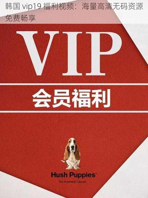 韩国 vip19 福利视频：海量高清无码资源免费畅享