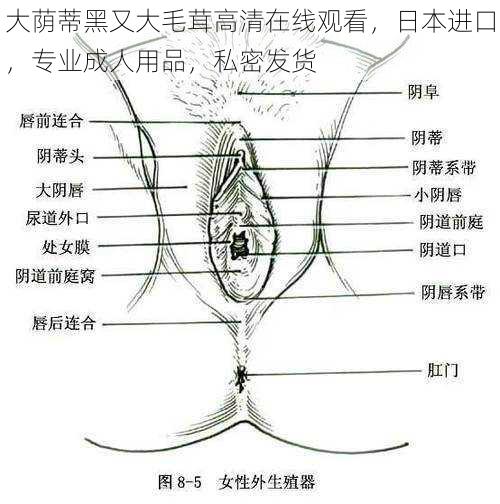 大荫蒂黑又大毛茸高清在线观看，日本进口，专业成人用品，私密发货