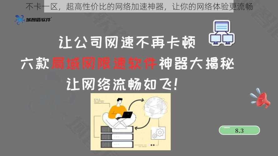 不卡一区，超高性价比的网络加速神器，让你的网络体验更流畅