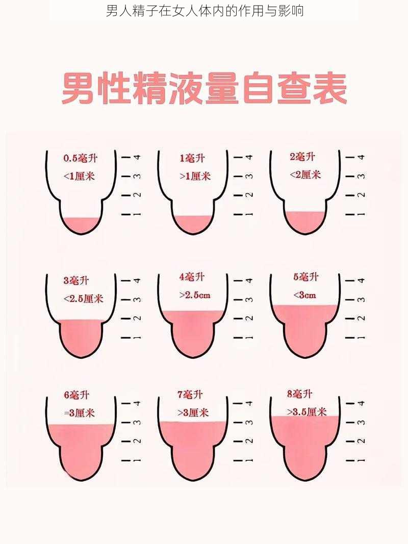 男人精子在女人体内的作用与影响