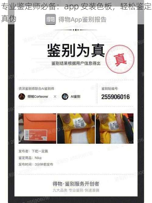 专业鉴定师必备：app 安装色板，轻松鉴定真伪