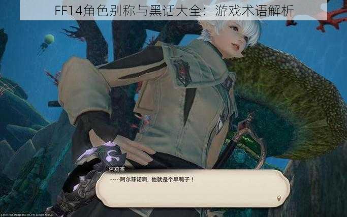 FF14角色别称与黑话大全：游戏术语解析