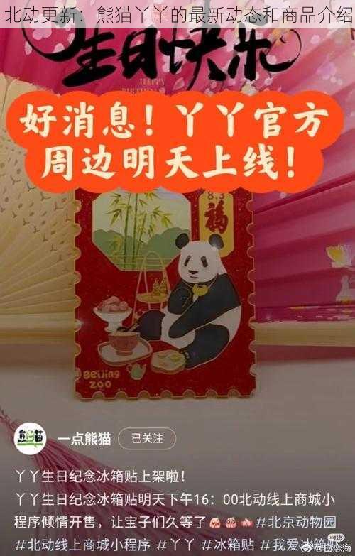 北动更新：熊猫丫丫的最新动态和商品介绍