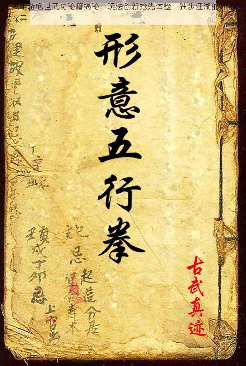 功夫手游绝世武功秘籍揭秘，玩法创新抢先体验：独步江湖的神秘招式探寻