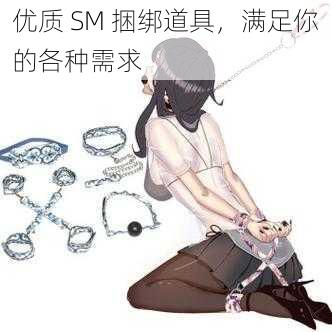 优质 SM 捆绑道具，满足你的各种需求