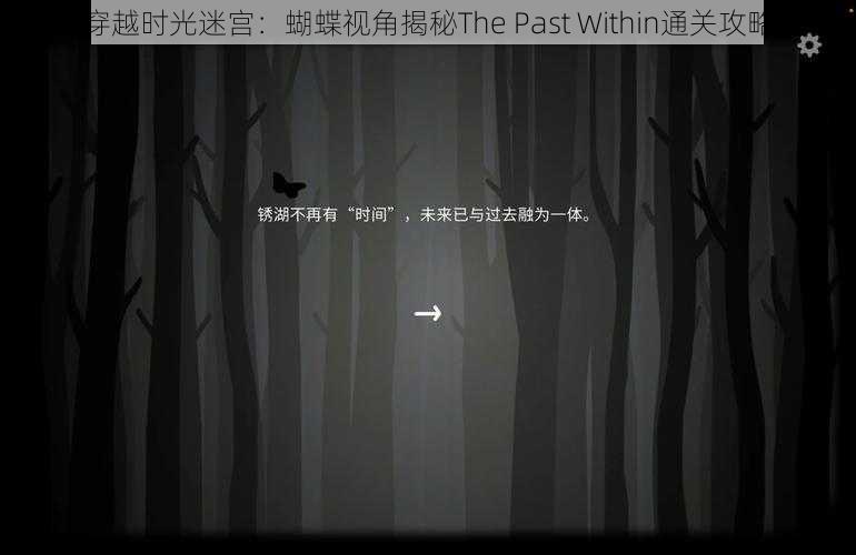 穿越时光迷宫：蝴蝶视角揭秘The Past Within通关攻略