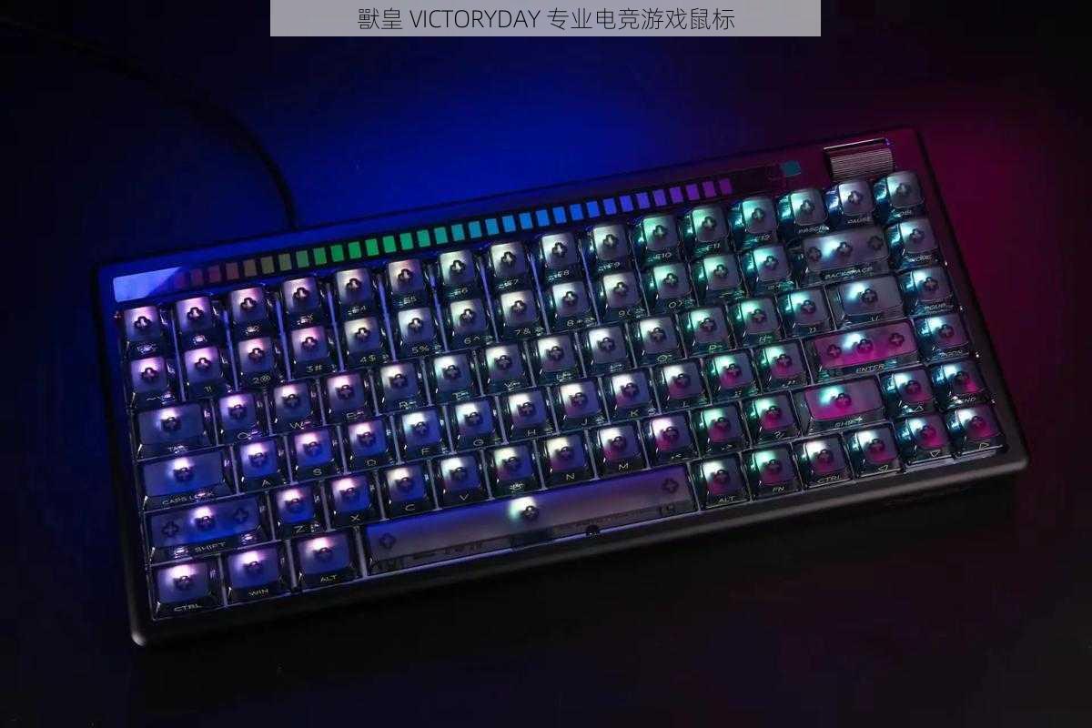 獸皇 VICTORYDAY 专业电竞游戏鼠标