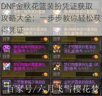 DNF金秋花篮装扮凭证获取攻略大全：一步步教你轻松获得凭证